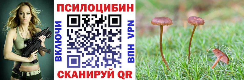 Галлюциногенные грибы прущие грибы  Купить закладки  Пенза 